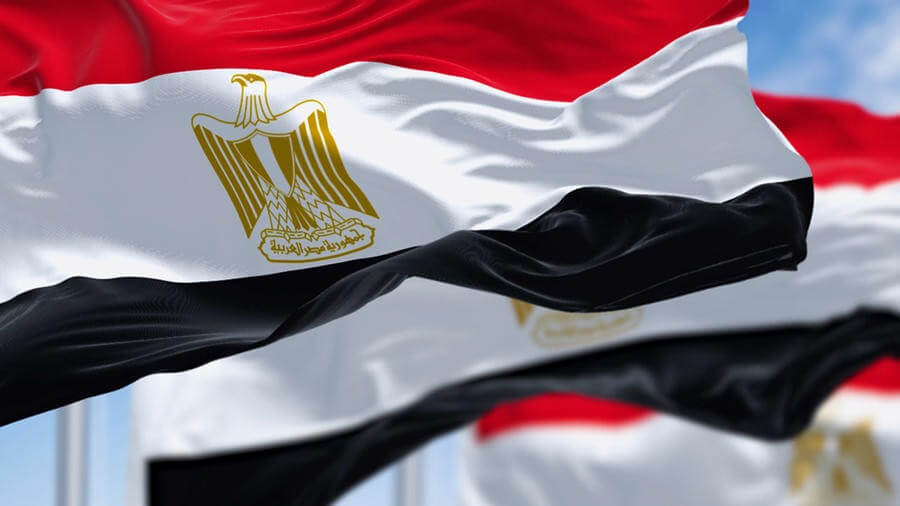 Cost Containment in Egypt with Global Excel